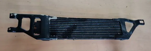 Mercedes-Benz A W169 Transmission/gearbox oil cooler A1695000700