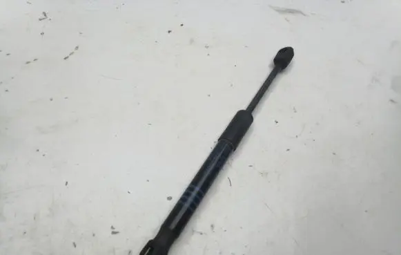 BMW 5 G30 G31 G38 Front bonnet/hood damper/strut 7347402