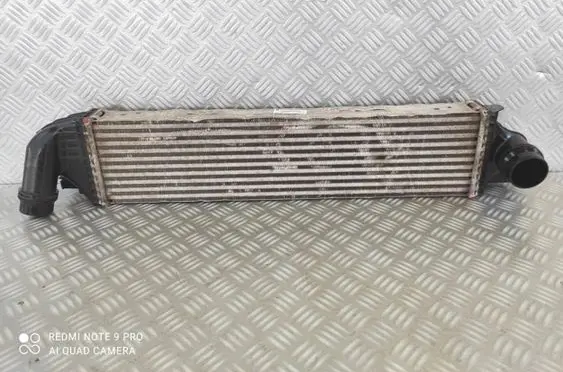 Renault Trafic III (X82) Intercooler radiator 144962019R