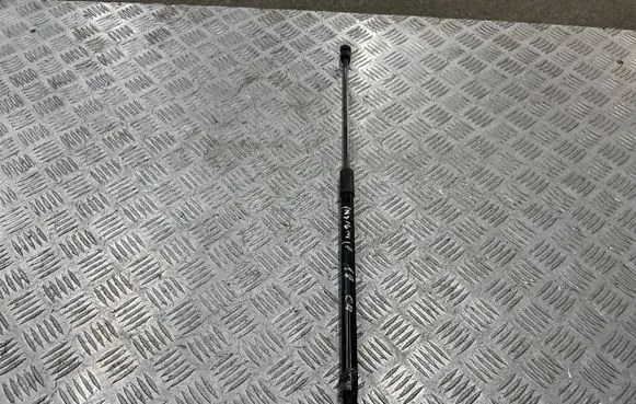 Opel Insignia B Tailgate/trunk strut/damper 39115292