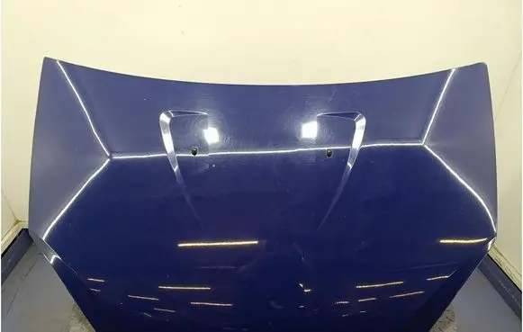 Dacia Sandero Engine bonnet/hood