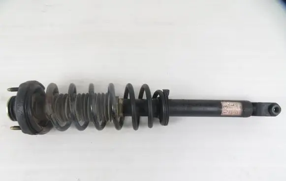 Chevrolet Epica Rear shock absorber with coil spring 7441254