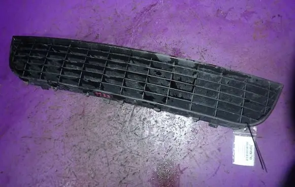 Front bumper lower grill