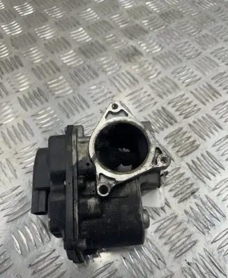 Throttle body valve