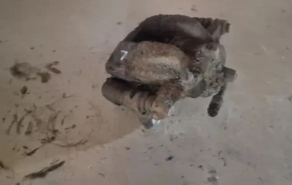 Honda CR-V Front brake caliper