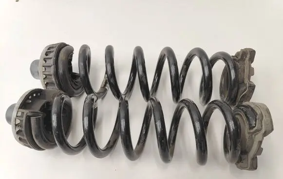 Rear coil spring