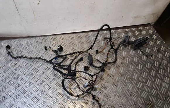 BMW 7 F01 F02 F03 F04 Front door wiring loom 9234121