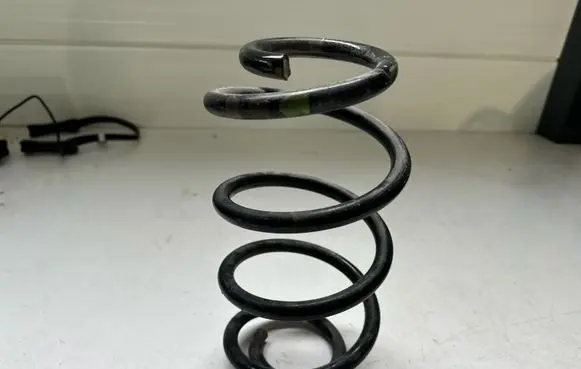 Rear coil spring