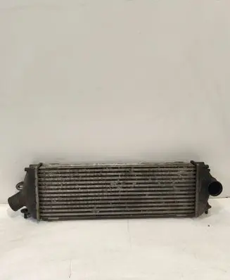 Renault Trafic II (X83) Intercooler radiator 8200411160C 93854162