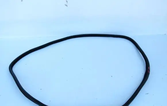 Volvo S60 Rubber seal rear door 