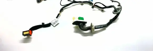 Front door wiring loom