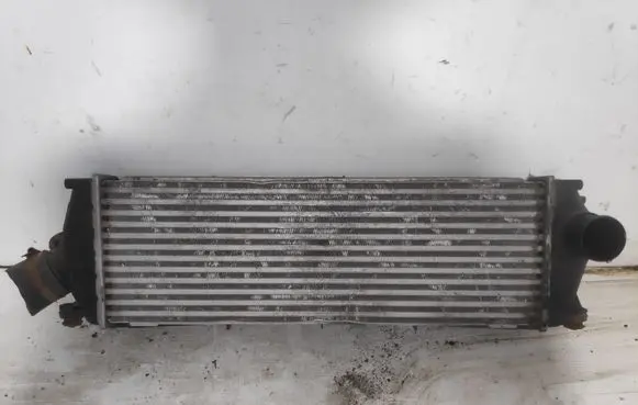 Opel Vivaro Intercooler radiator 992563JB
