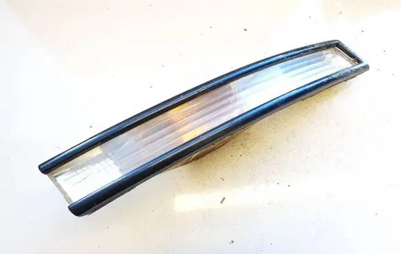 Volkswagen PASSAT B6 Front indicator light 3c0953042l