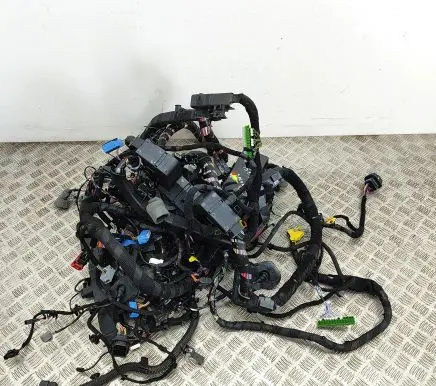 Maserati Ghibli Other wiring loom 06701551930 670155193