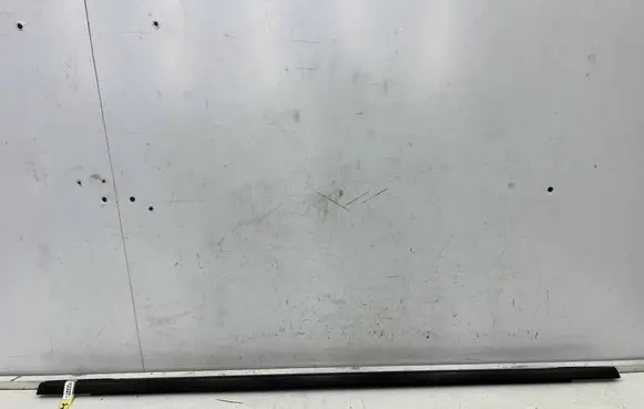 Rear door glass trim molding