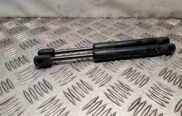 Front bonnet/hood damper/strut