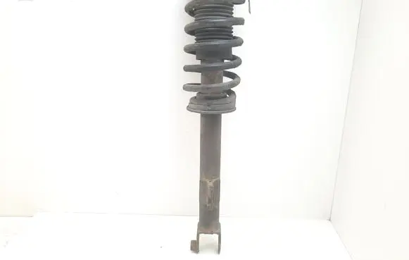 Chrysler 300 - 300C Front shock absorber with coil spring
