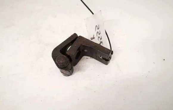 Rear door lower hinge