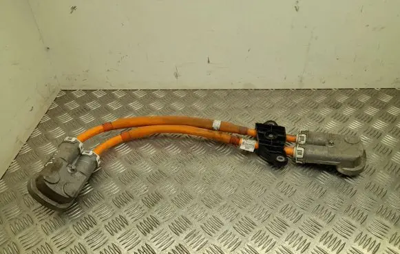 BMW iX1 Other wiring loom 5A04BD207