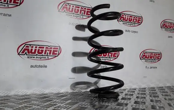 Front coil spring