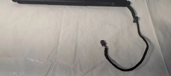 Audi S5 F5 Tailgate strut 8W8827851D