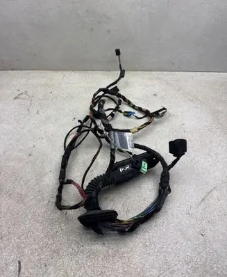 BMW X5 E70 Front door wiring loom 6970882 157015
