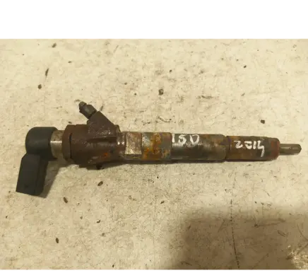 Renault Laguna III Fuel injector 166008052r