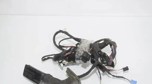 BMW 5 G30 G31 G38 Front door wiring loom 5A085E4 61125A085E4