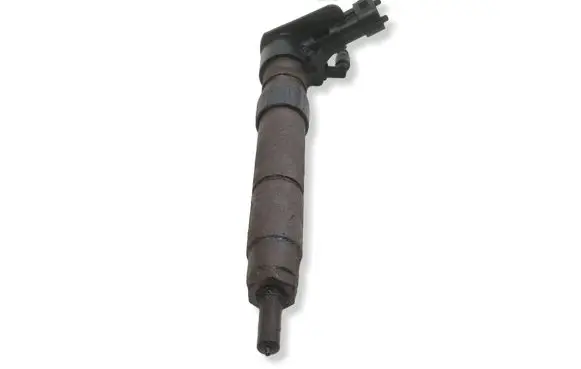 Jaguar XF X250 Fuel injector 9687454480