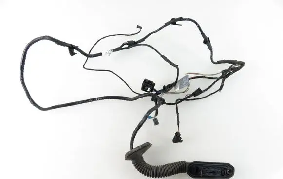 BMW X6 E71 Other wiring loom 920786001