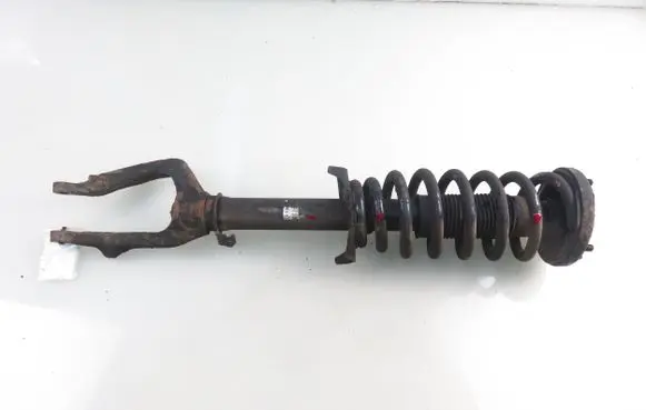 Honda Accord Front shock absorber with coil spring