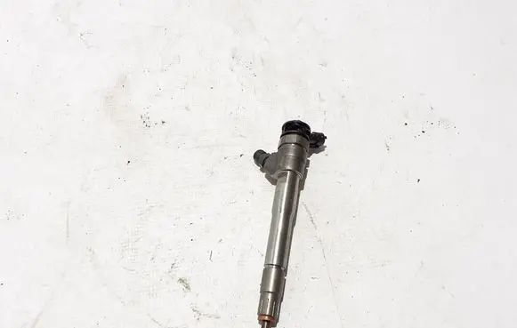 Renault Scenic IV - Grand scenic IV Fuel injector 0445110895