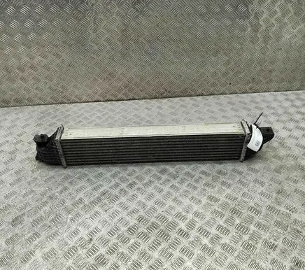 Honda Civic X Intercooler radiator 197105BFAA030
