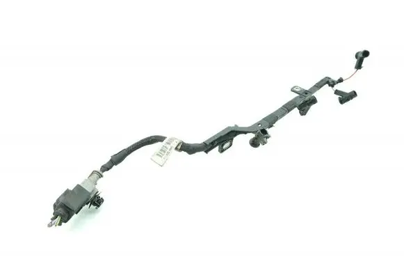 Other wiring loom