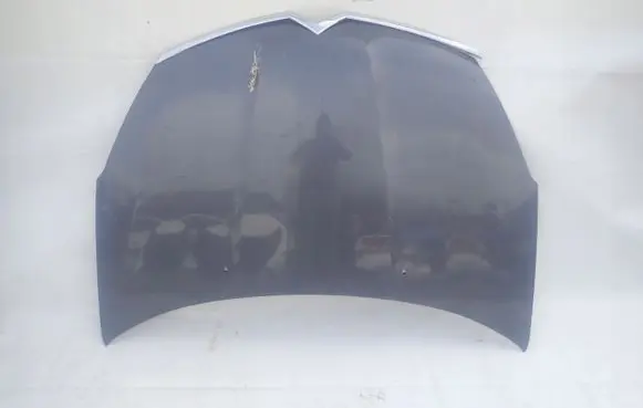 Citroen C-Crosser Engine bonnet/hood