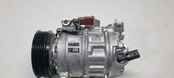 Skoda Karoq Air conditioning (A/C) compressor (pump) 3Q0816803D