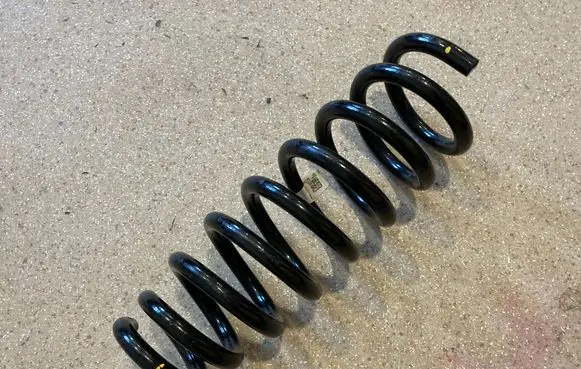 Rear coil spring
