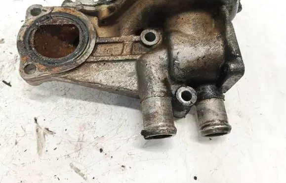 Engine coolant pipe/hose