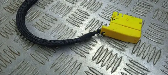 BMW Z4 E89 Other wiring loom 6954588