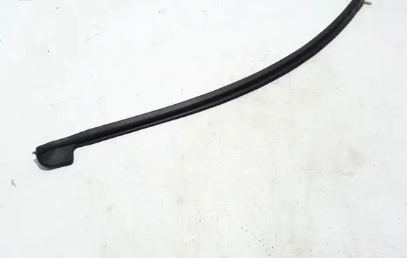 Chrysler Pacifica Rubber seal sliding door (on door) 68188723AC