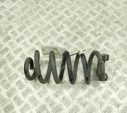 Skoda Enyaq iV Rear coil spring 1EA511103E