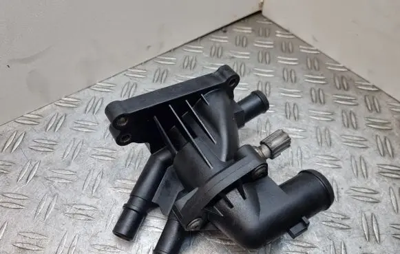 Thermostat/thermostat housing