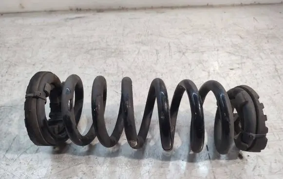 Land Rover Discovery Sport Rear coil spring