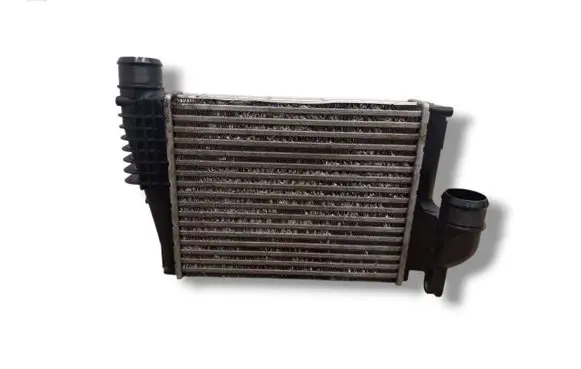 Peugeot Expert Intercooler radiator 818304