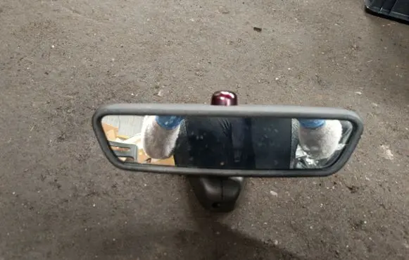 BMW X5 E53 Rear view mirror (interior) E11015313