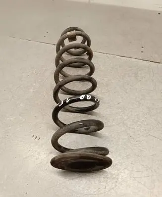 Rear coil spring