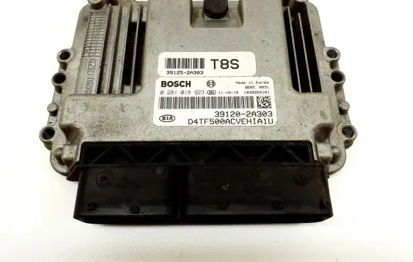 KIA Optima Engine control unit/module 0281018923 391202A303