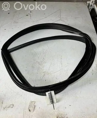 Ford Focus Sliding door rubber seal 