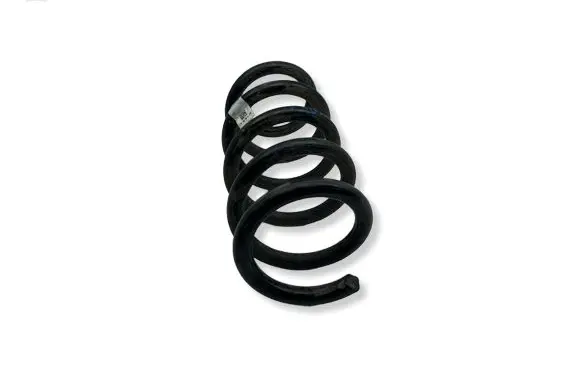 Tesla Model Y Rear coil spring 118847600B