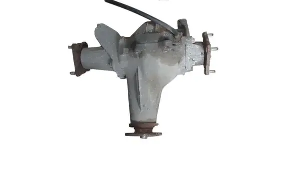 Suzuki Grand Vitara II Rear differential TL43